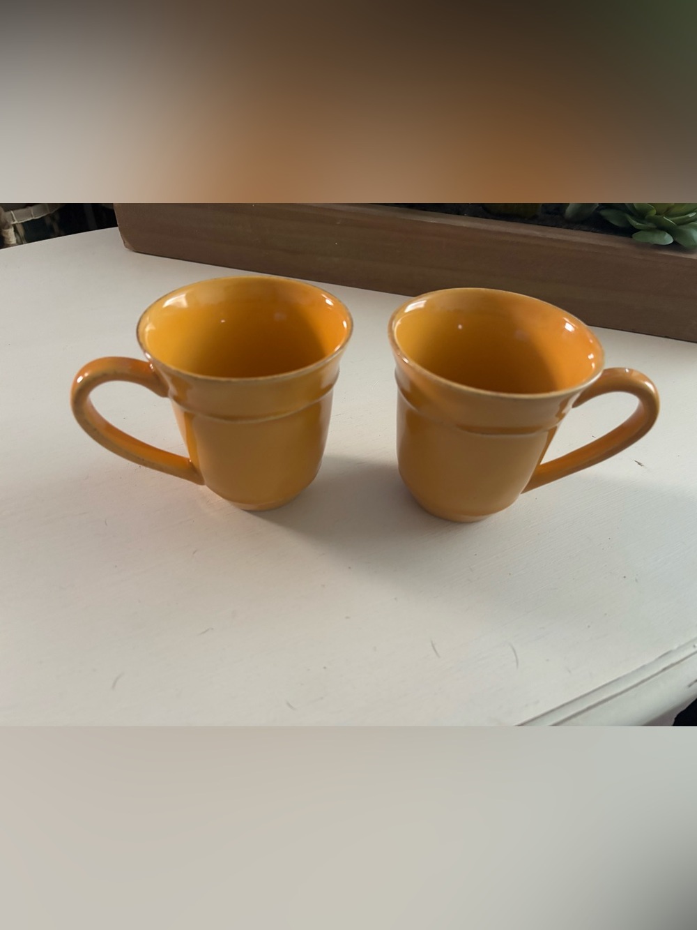Pottery barn mugs